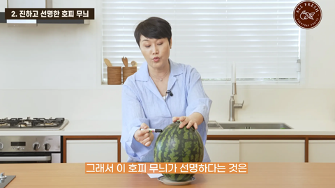 [올프레쉬] 과일 브랜드 정보 전달 영상